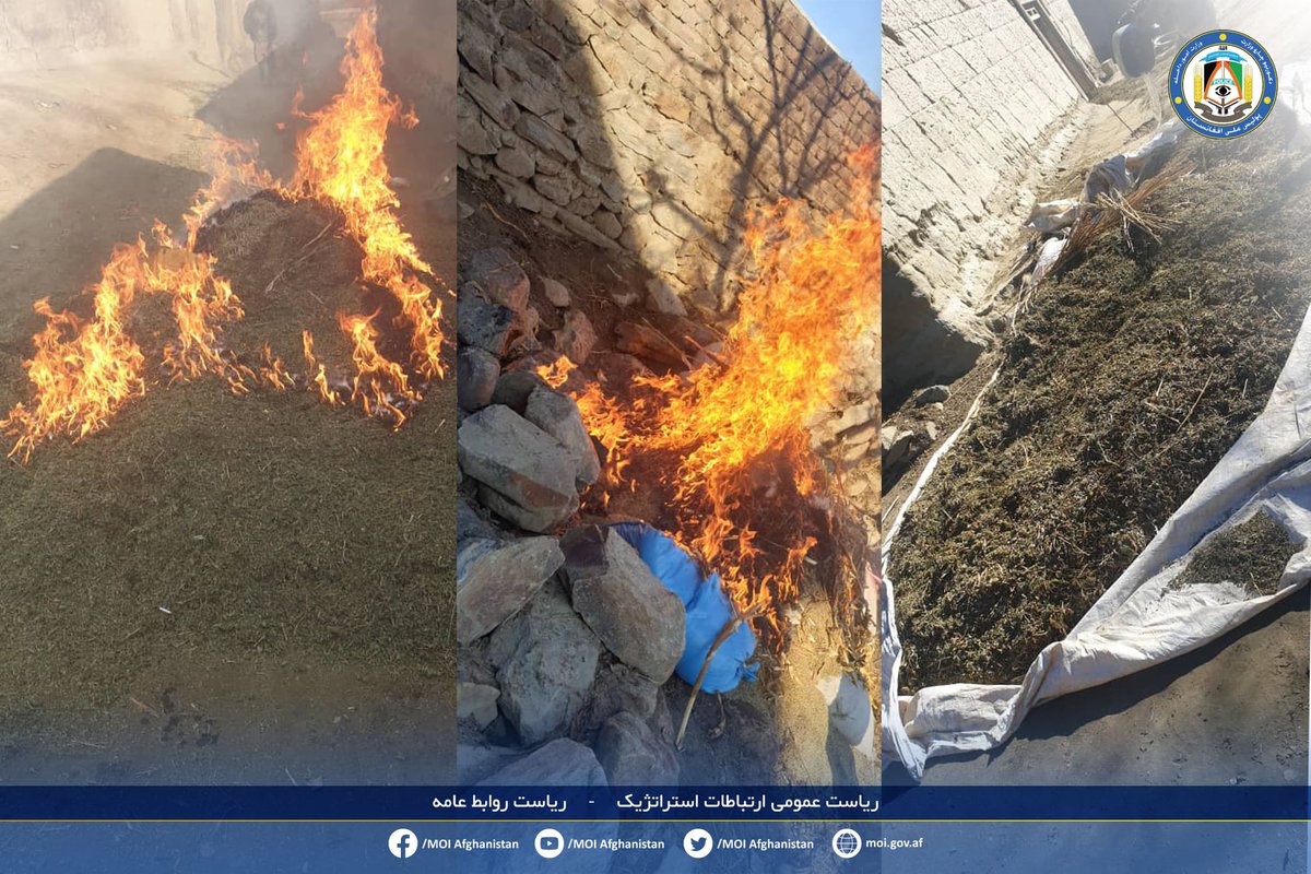 42 tonnes of hashish destroyed in Khogyani district according to MOI SW Nangarhar