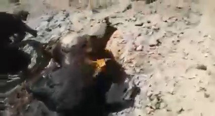 HCIEA fighters allegedly ambushed Taliban in southern Herat (possibly Shindand) killing at least 4. Five  days ago some accounts related to Mullah Niazi's group claimed attack on IEA in Bakshabad Dam area in Farah