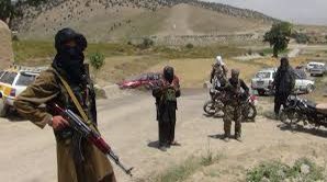 11 members of Taliban's red unit were killed and 13 others were wounded in an operation conducted by commando forces in Dawlat Abad district of Balkh province, on Tuesday night and a large amount of their weapons and ammunition were destroyed, @MoDAfghanistan said